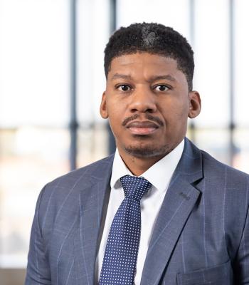 Chief Executive Officer (Acting)